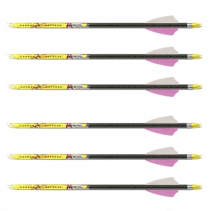 Стрелы для лука карбоновые Mayhem Hunter 250 Fusion Vanes ( 6 шт. )